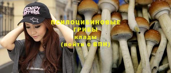 крисы Горно-Алтайск