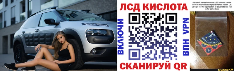 KRAKEN как войти  Павловск  Наркотические марки 1,5мг 